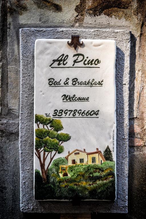 Al Pino B&B Grottaferrata Ngoại thất bức ảnh